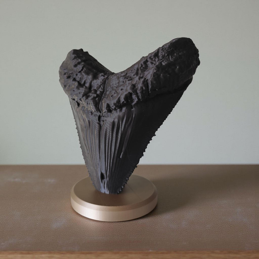 Megalodon Tooth Sculpture Fossil Shark Decor