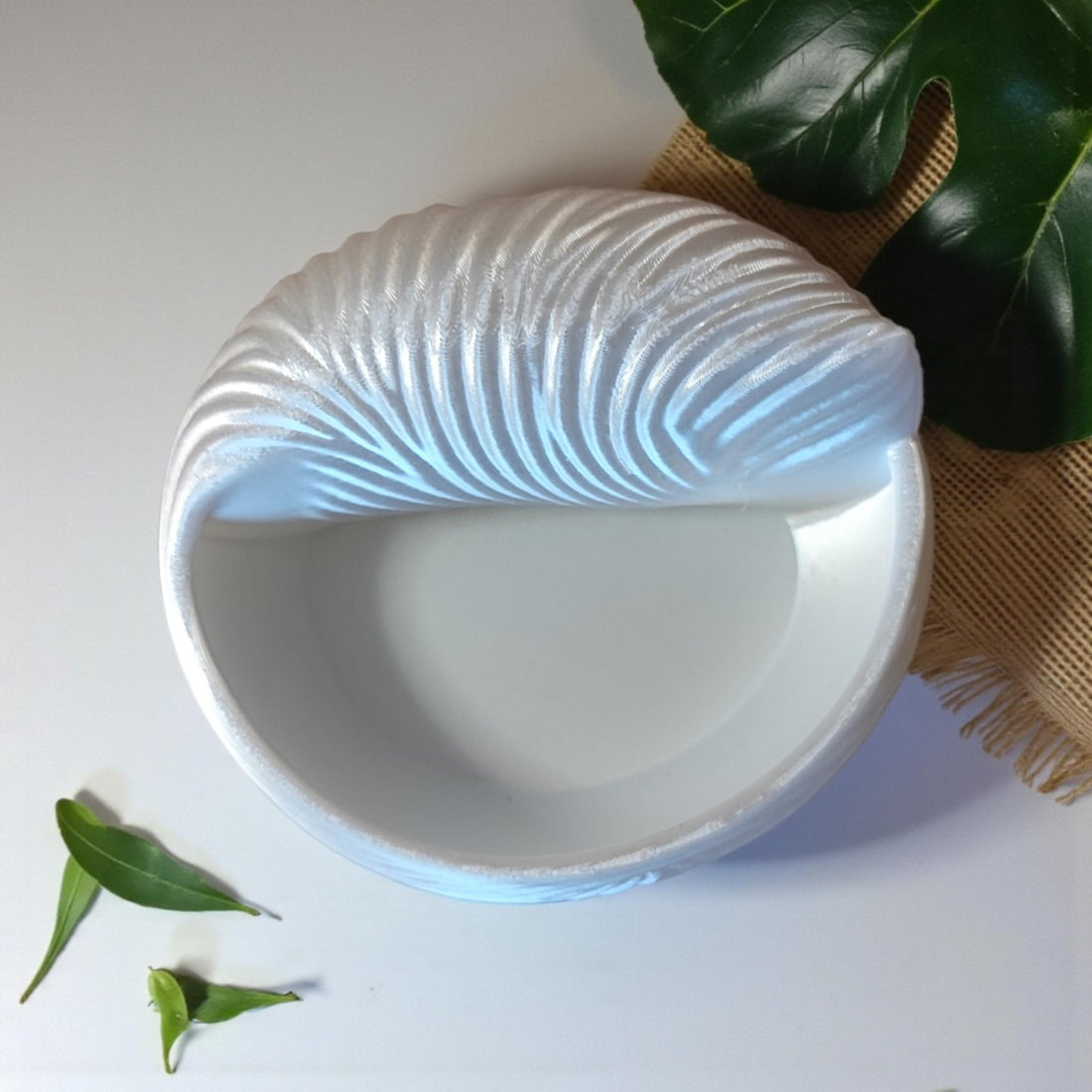 Seashell Jewelry Bowl Decorative Trinket Dish | Elegant Nightstand Storage | Handmade Eco Friendly Plant Based Home Decor