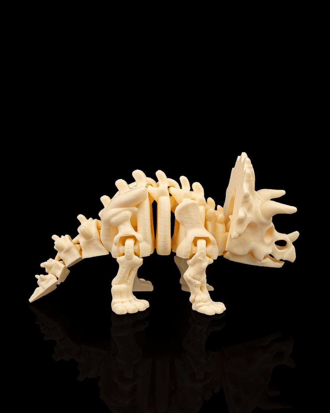 Triceratops Skeleton – Dinosaur Model