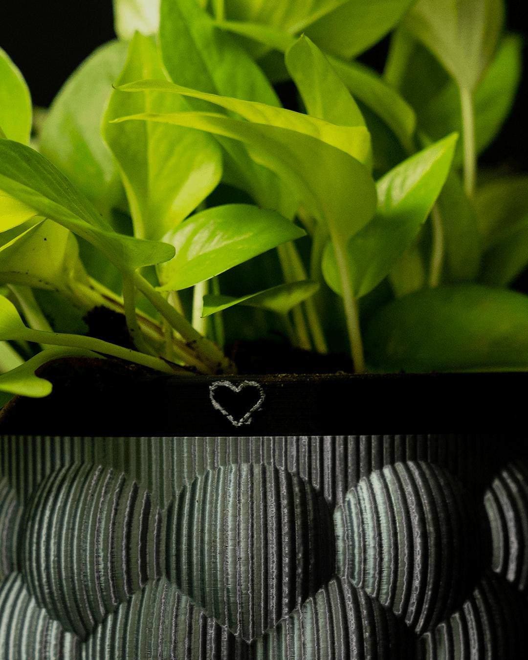 Self-Watering Vase – 3D Printed Planter