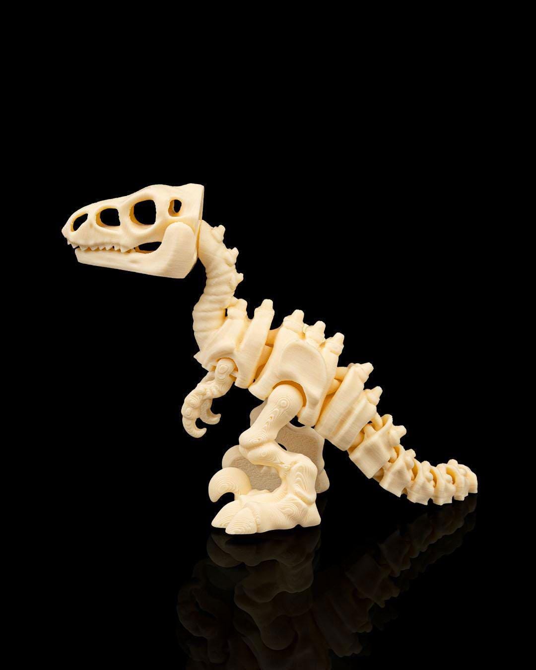 Skeleton Velociraptor – 3D Printed Dinosaur Model