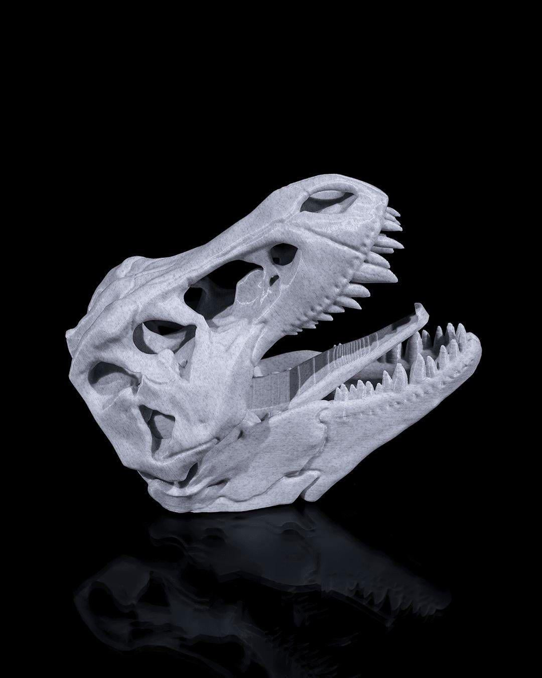 T-Rex Wall Hook – Dinosaur Coat and Key Hanger