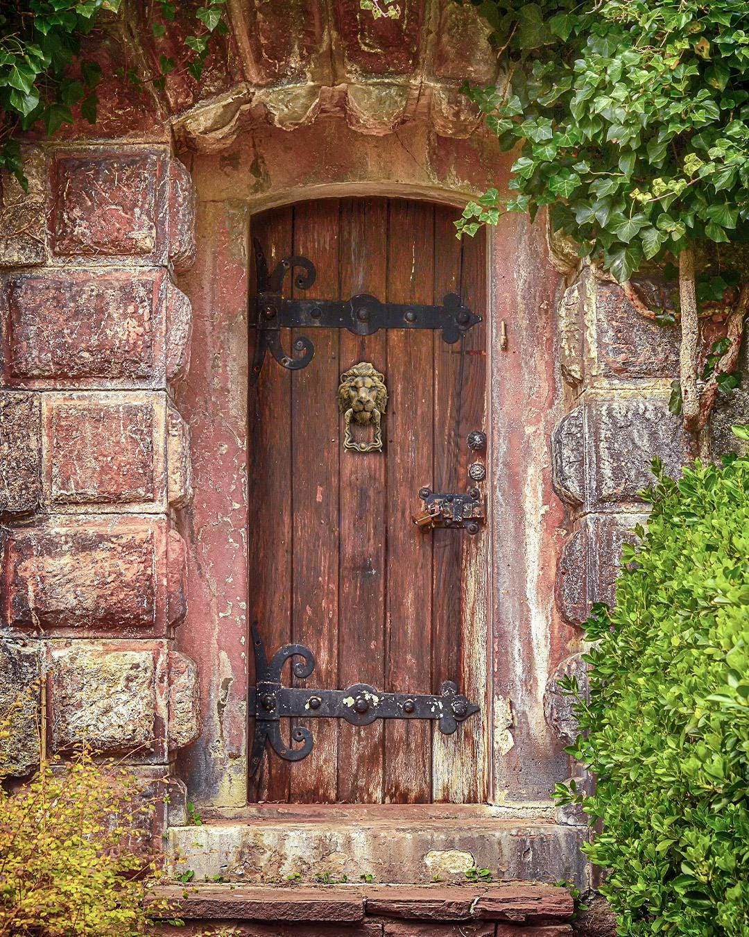 Lion Door Guardian – Handmade Feline Wall and Door Decor