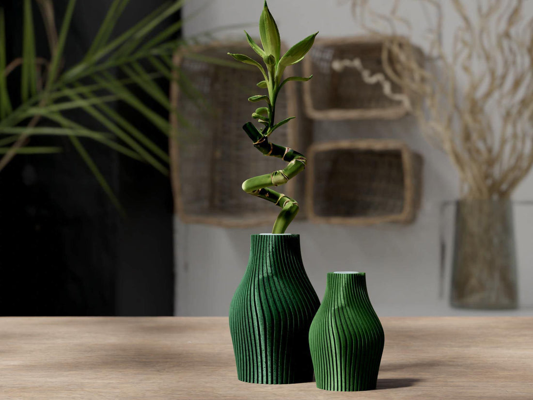 Minimalist Lucky Bamboo Vase | Modern Zen Desk Decor